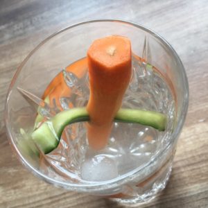 Gin Garnishes